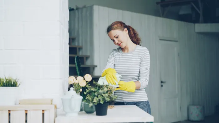 Preparing for Your Next Everyday Home Cleaning Session